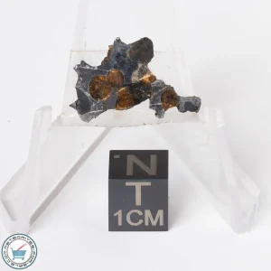 Sericho Pallasite Meteorite 1.7g