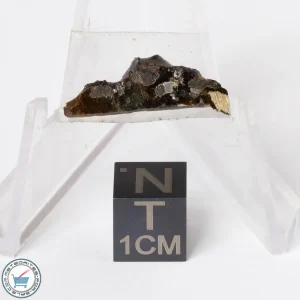 Sericho Pallasite Meteorite 1.1g