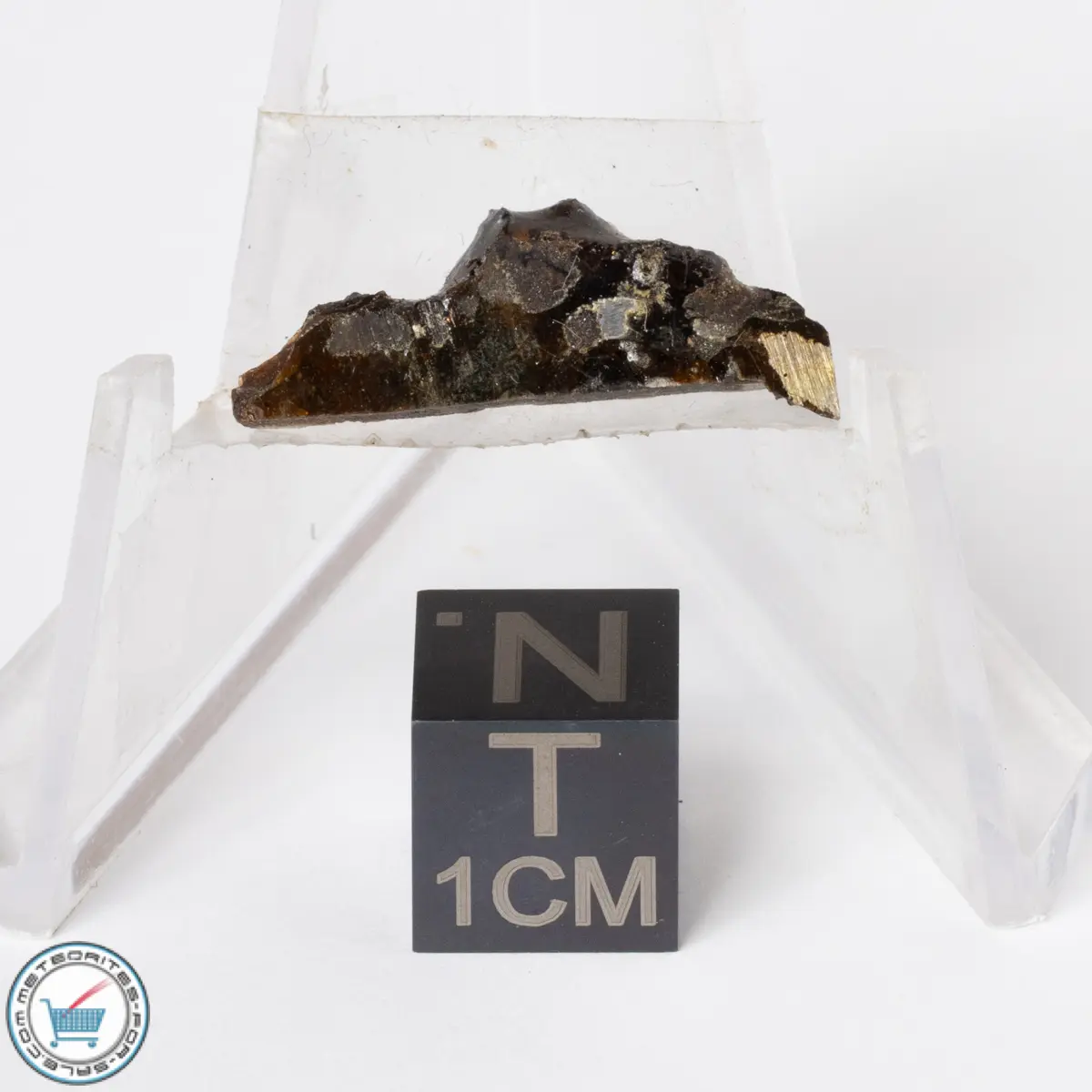 Sericho Pallasite Meteorite 1.1g