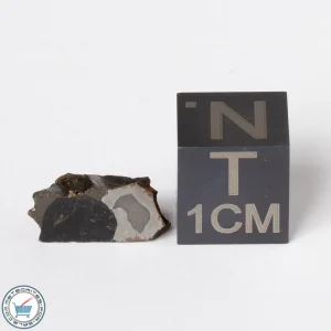 Sericho Pallasite Meteorite 1.0g