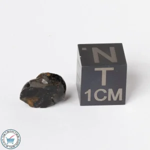 Sericho Pallasite Meteorite 0.6g