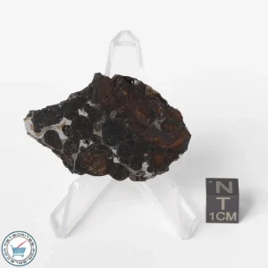 Sericho Pallasite Meteorite 10.6g