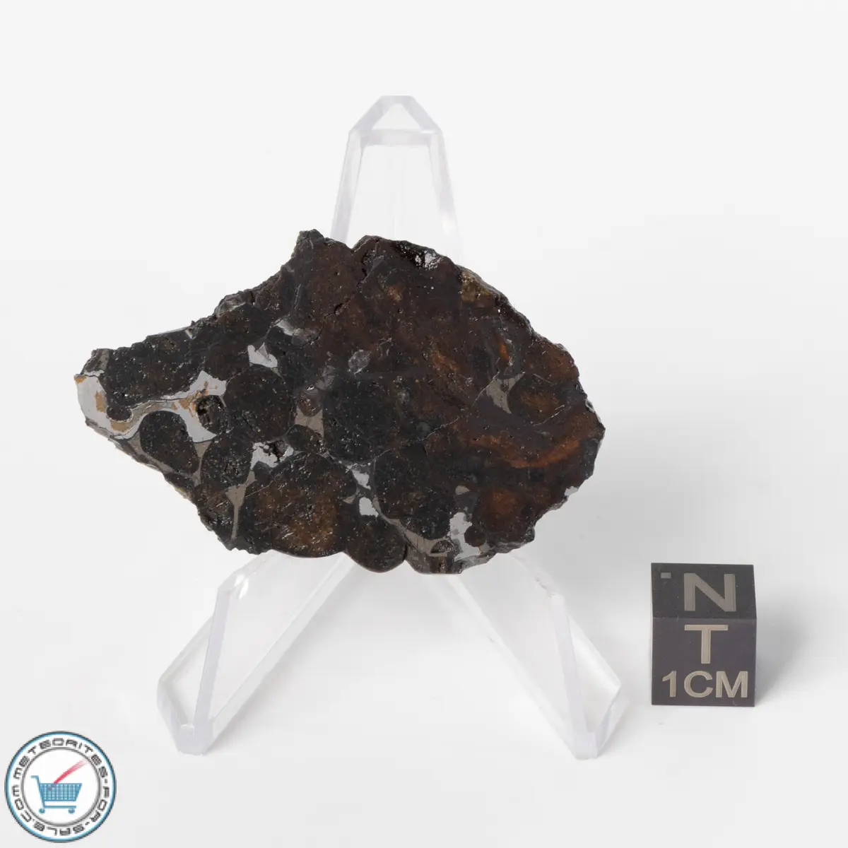 Sericho Pallasite Meteorite 10.6g