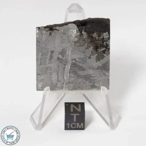 Toluca Meteorite 27.3g