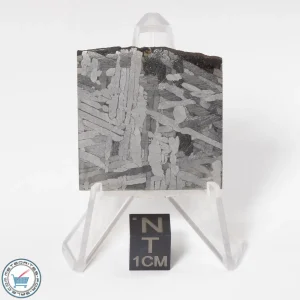 Toluca Meteorite 29.1g