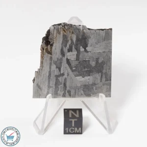 Toluca Meteorite 33.6g