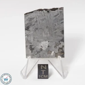 Toluca Meteorite 40.6g