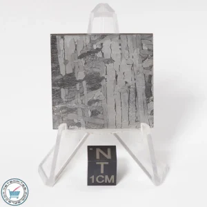 Toluca Meteorite 29.3g