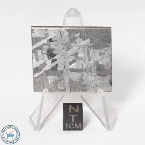 Toluca Meteorite 33.3g