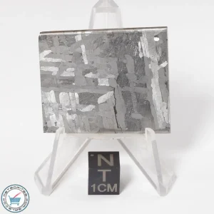 Toluca Meteorite 31.6g