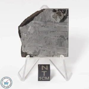 Toluca Meteorite 34.2g