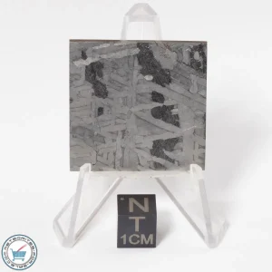 Toluca Meteorite 28.8g