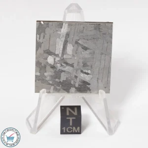 Toluca Meteorite 30.0g