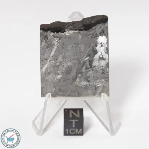 Toluca Meteorite 33.3g