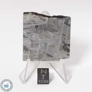 Toluca Meteorite 38.2g