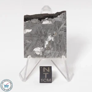 Toluca Meteorite 29.4g