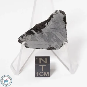 Toluca Meteorite 16.6g End-Cut