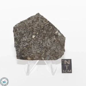 Daule Meteorite 11.5g Slice