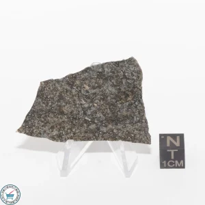 Daule Meteorite 5.8g Slice