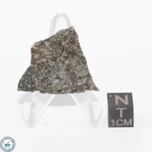 Daule Meteorite 2.1g Slice