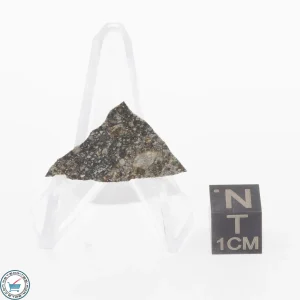 Daule Meteorite 0.5g Slice