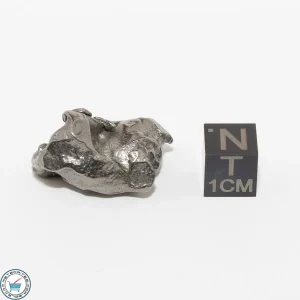 Gebel Kamil Iron Meteorite 19.2g