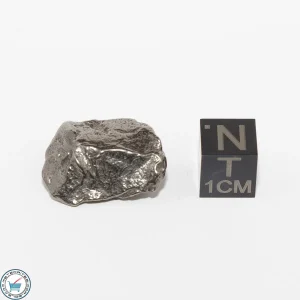Gebel Kamil Iron Meteorite 11.3g