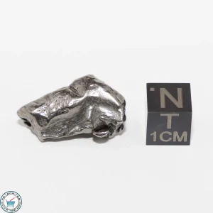 Gebel Kamil Iron Meteorite 11.2g