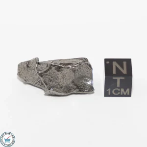 Gebel Kamil Iron Meteorite 15.4g