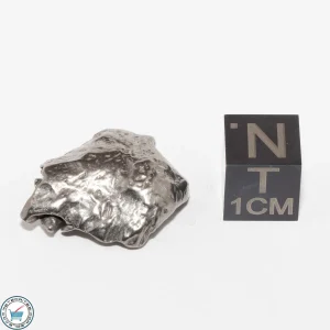 Gebel Kamil Iron Meteorite 9.7g