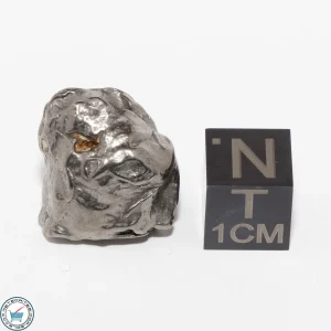 Gebel Kamil Iron Meteorite 12.2g