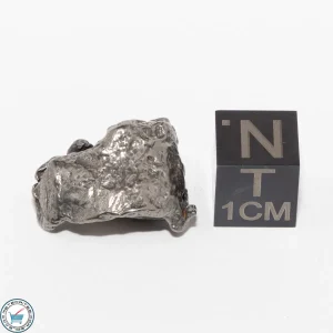 Gebel Kamil Iron Meteorite 8.4g