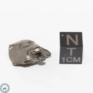 Gebel Kamil Iron Meteorite 5.3g