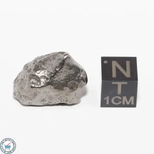 Gebel Kamil Iron Meteorite 13.7g