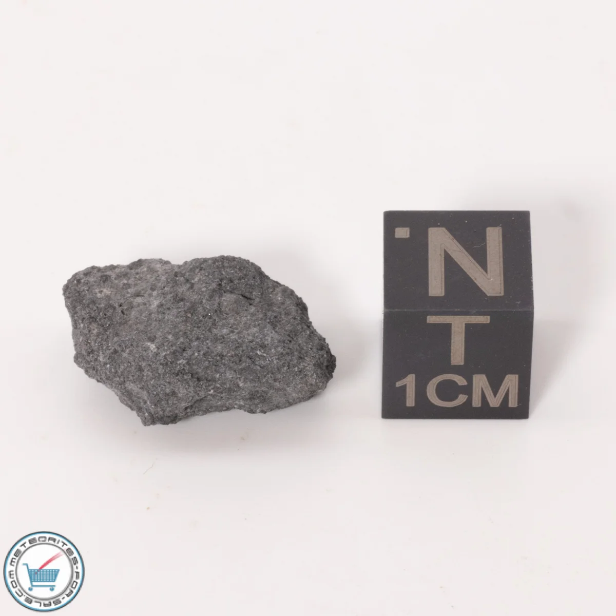 NWA 12925 Meteorite 3.05g