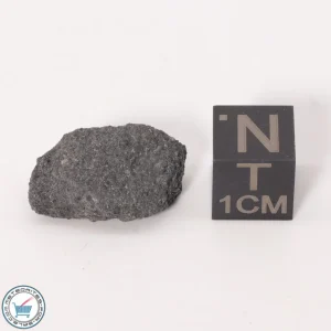 NWA 12925 Meteorite 2.85g