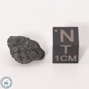 NWA 12925 Meteorite 1.66g