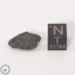 NWA 12925 Meteorite 1.36g