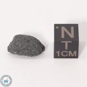 NWA 12925 Meteorite 1.56g