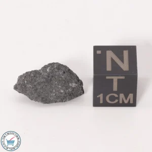 NWA 12925 Meteorite 1.13g