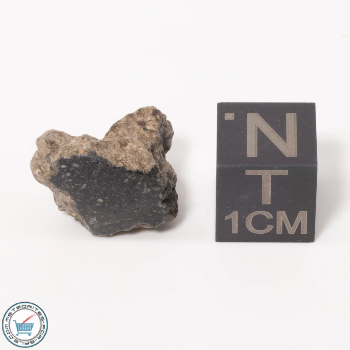 NWA 11788 Lunar Meteorite 2.11g Windowed