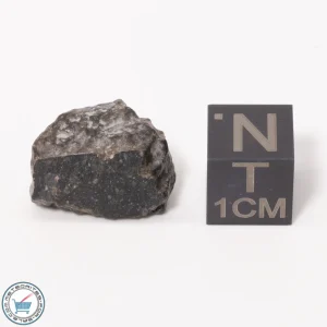 NWA 11788 Lunar Meteorite 3.13g Windowed