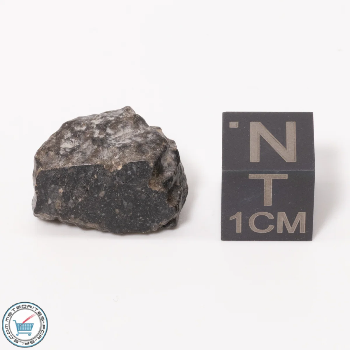 NWA 11788 Lunar Meteorite 3.13g Windowed