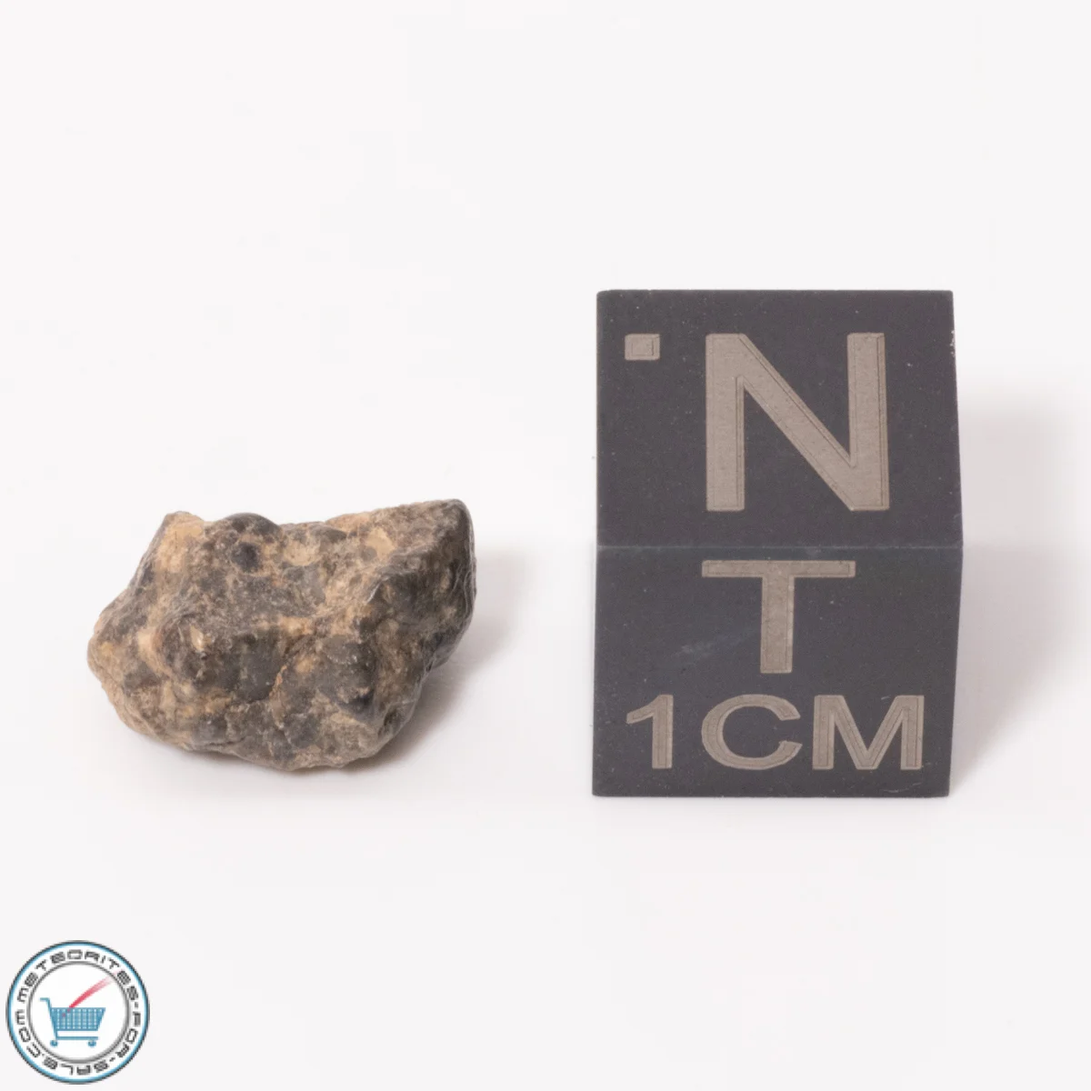 Bechar 003 Lunar Meteorite 0.63g
