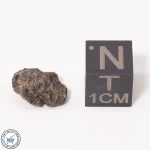 Bechar 003 Lunar Meteorite 0.60g