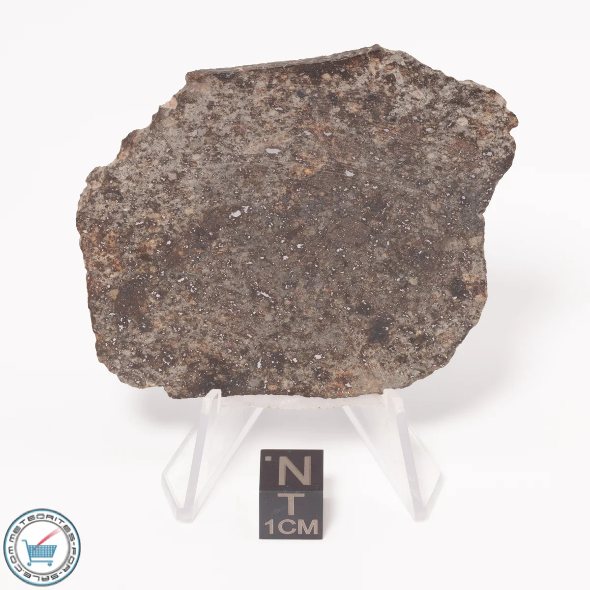 NWA 869 Meteorite 28.3g Slice