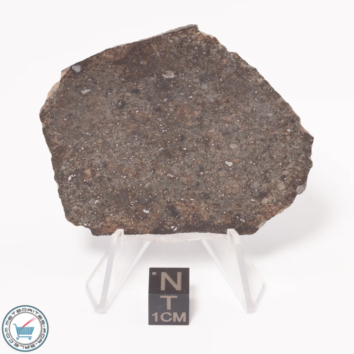 NWA 869 Meteorite 17.4g Slice
