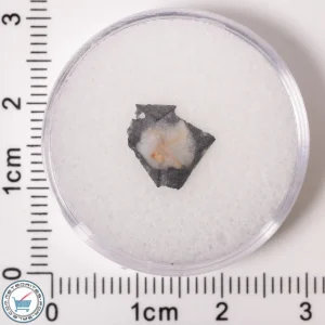 Ajdabiya 001 Meteorite 0.18g Slice