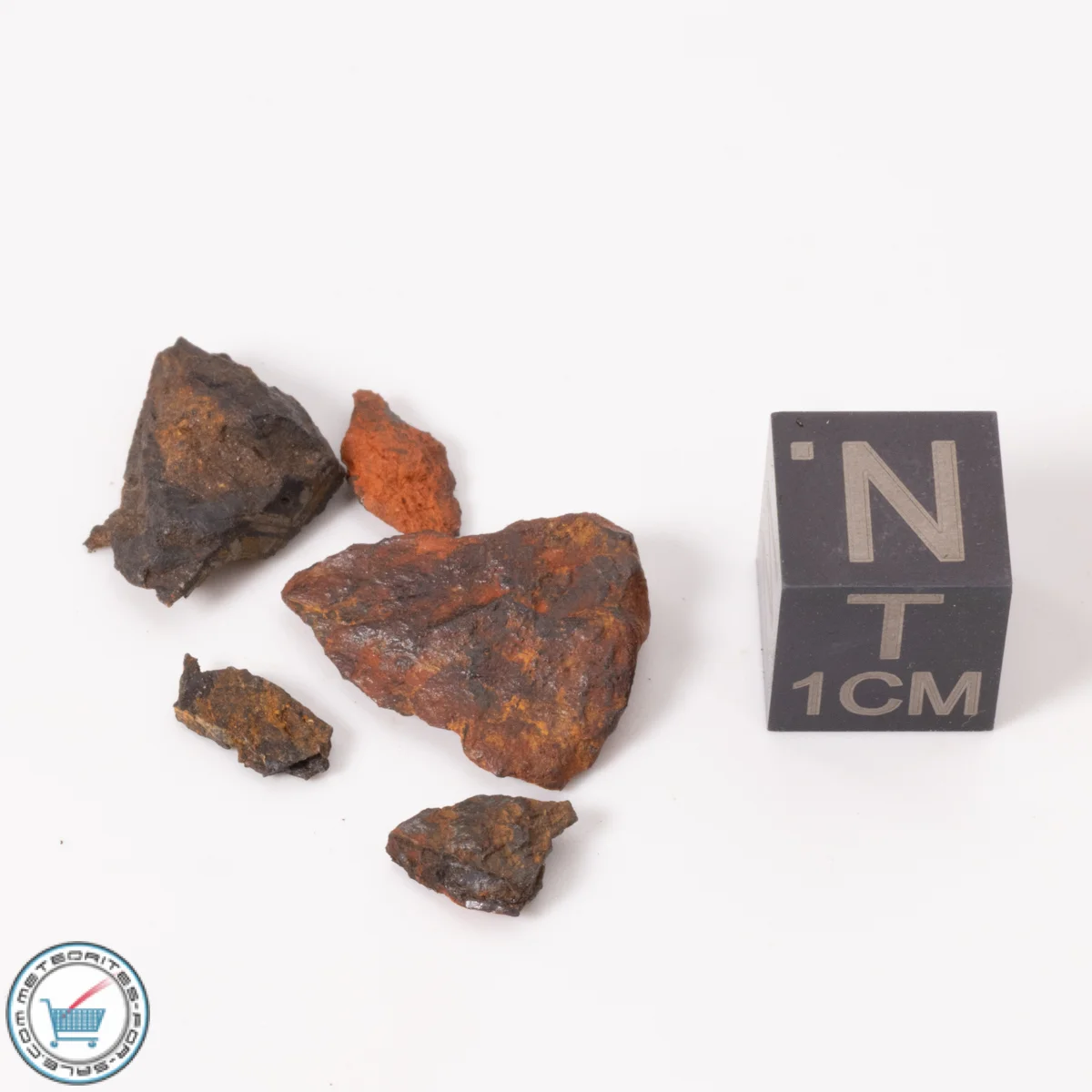 Campinorte Meteorite 2.5g Lot