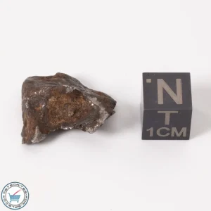 Canyon Diablo Meteorite 7.2g